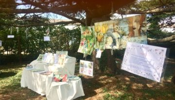Nouvelles assiettes intuitives gartavous