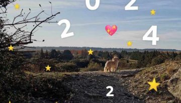 2024