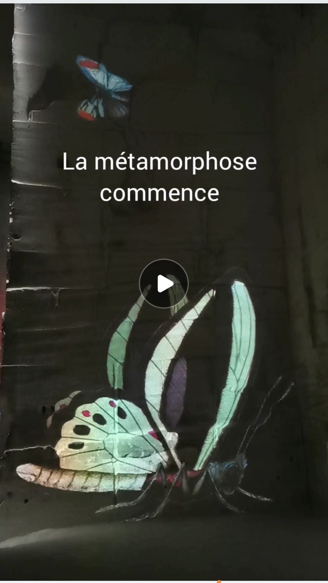 https://youtube.com/shorts/BMIKl00Db4w